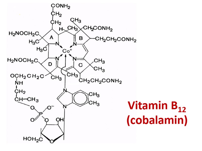Vitamin B12 (cobalamin)